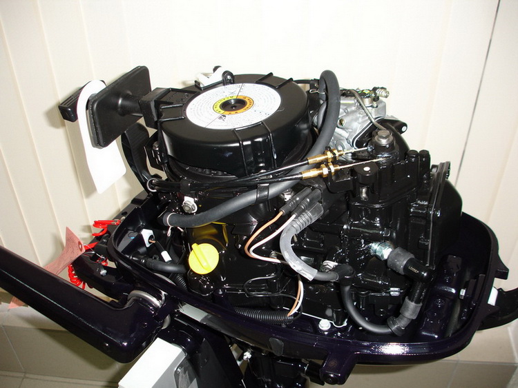 Купить четырехтактный лодочный мотор Tohatsu MFS5 | Лодочные моторы Tohatsu