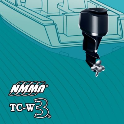 Масло для подвесного лодочного мотора. Зачем нужен TC-W3?
